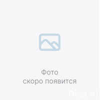фото скоро появится-pica